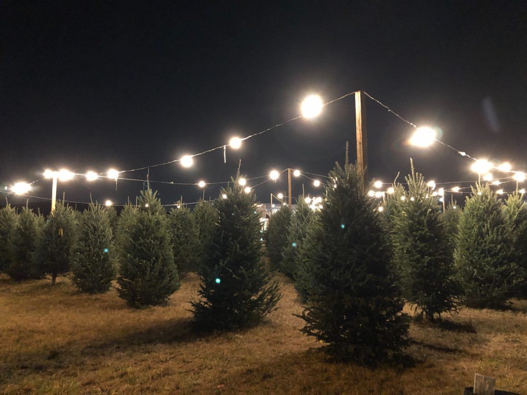 Christmas Tree Farm